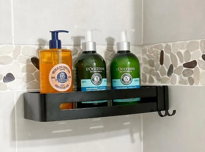 Apartment Lumineux 1 Hypercentre Place St Jean *